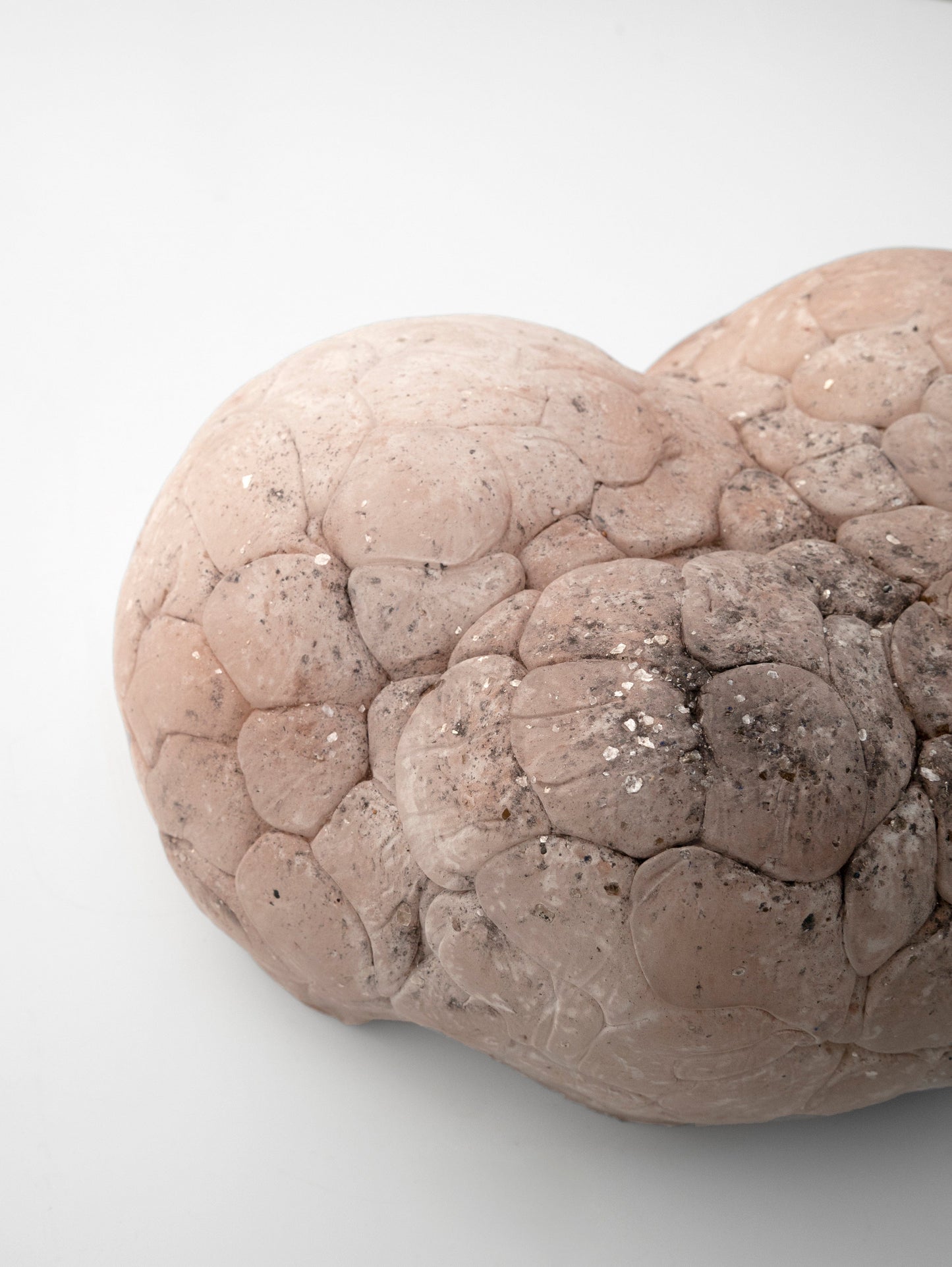 Parma Mammatus Wall Sculpture-Elissa Lacoste-APOC STORE