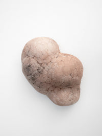 Parma Mammatus Wall Sculpture-Elissa Lacoste-APOC STORE