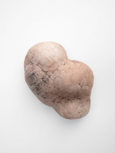 Parma Mammatus Wall Sculpture-Elissa Lacoste-APOC STORE