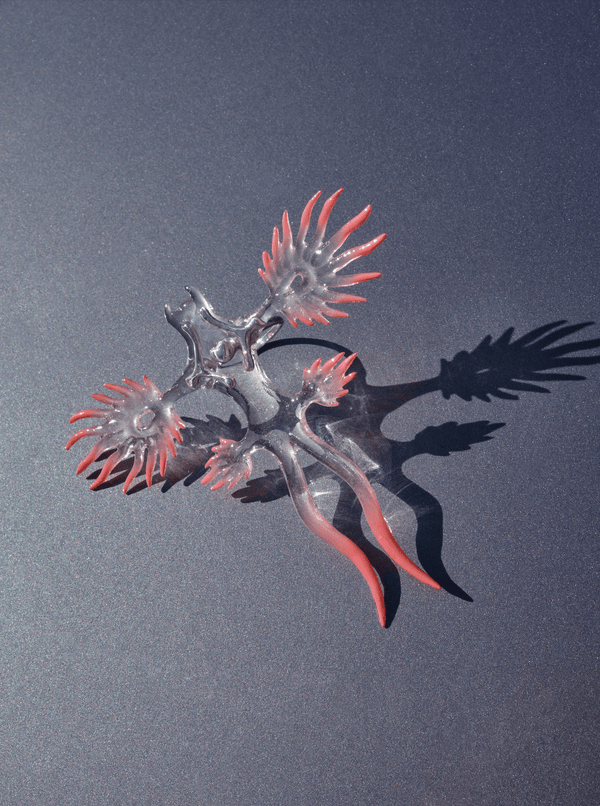 Transparent Nudibranch Ring-LOKI DOLOR-APOC STORE