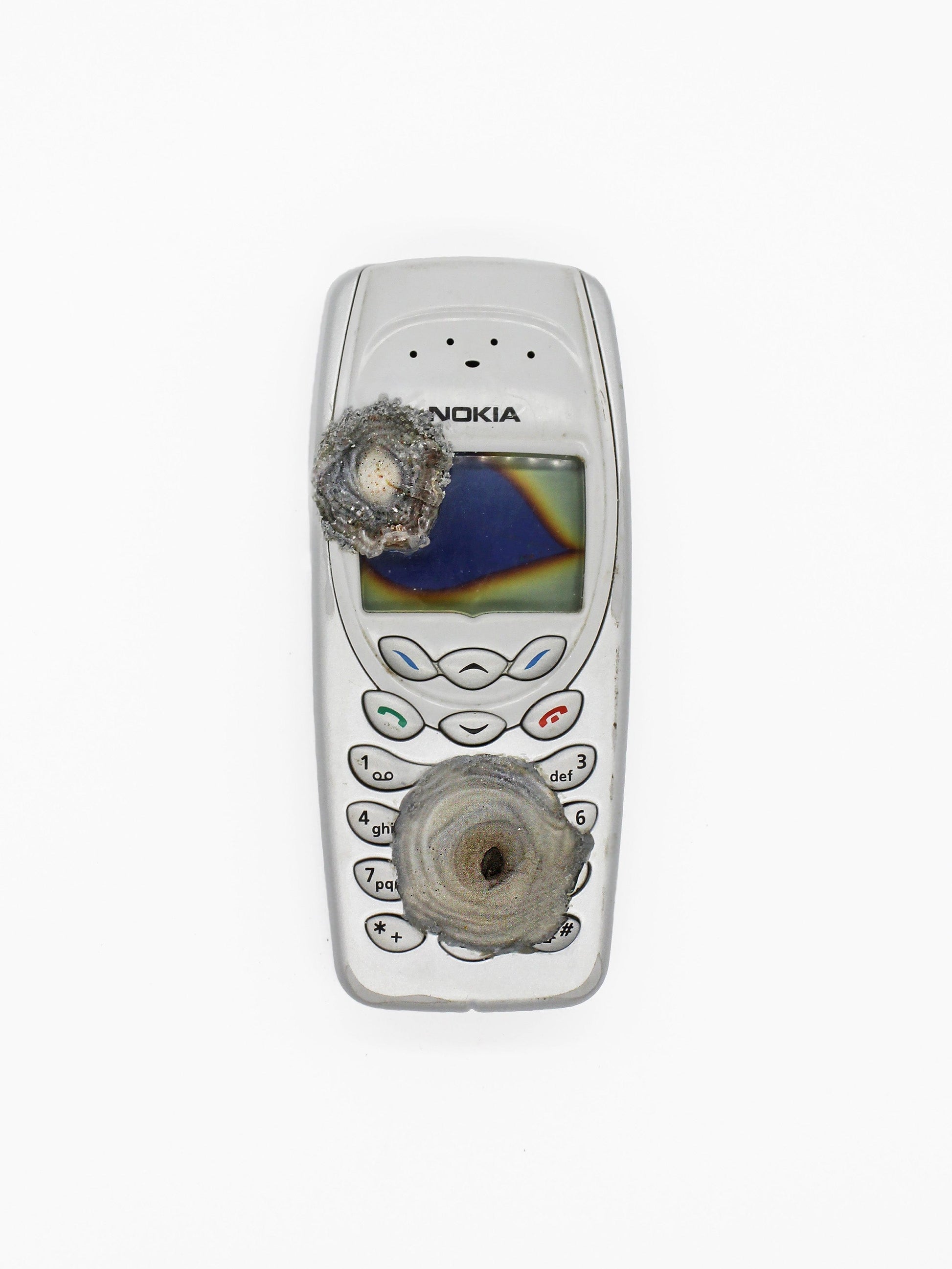 Searching for Signal-Corrina Goutos-APOC STORE