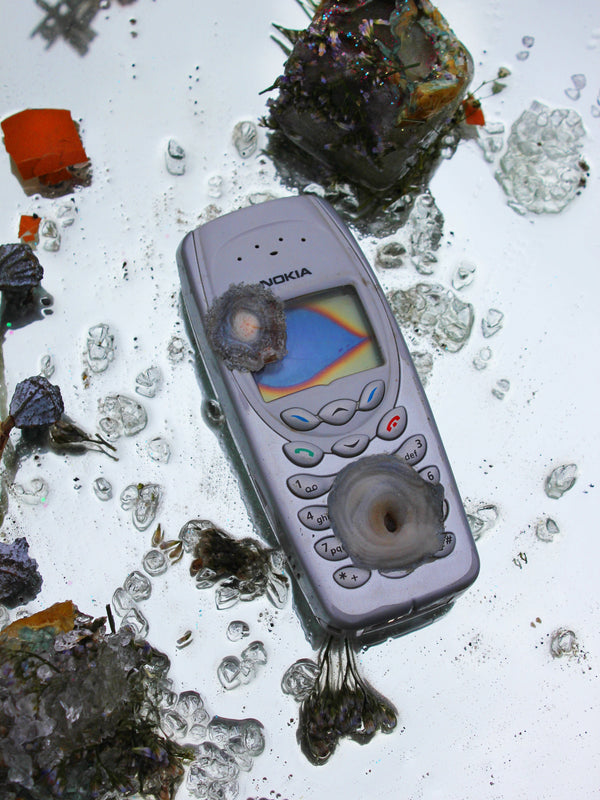 Searching for Signal-Corrina Goutos-APOC STORE