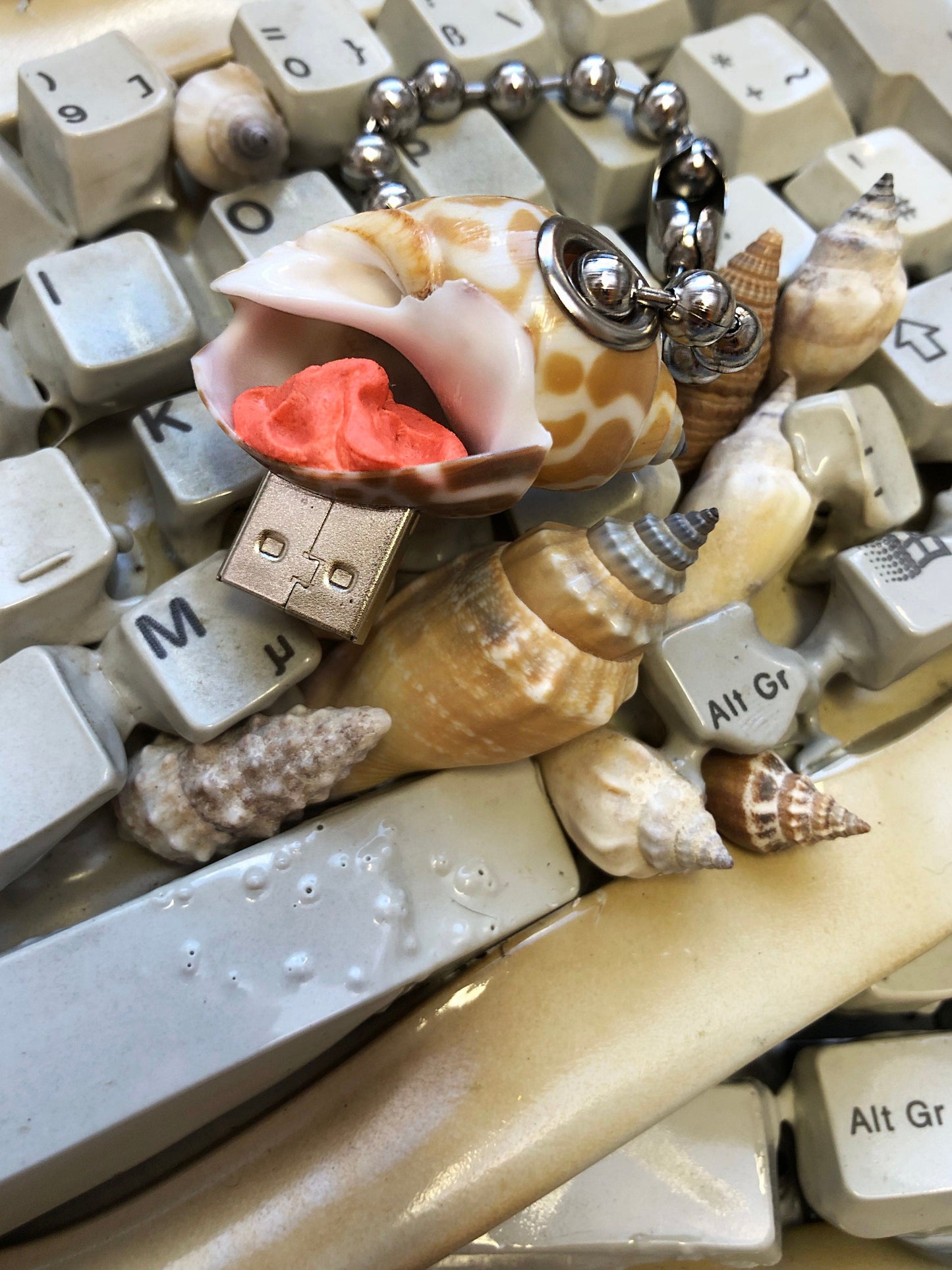 USB Shell-Corrina Goutos-APOC STORE