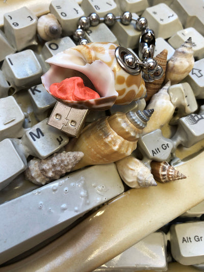 USB Shell-Corrina Goutos-APOC STORE