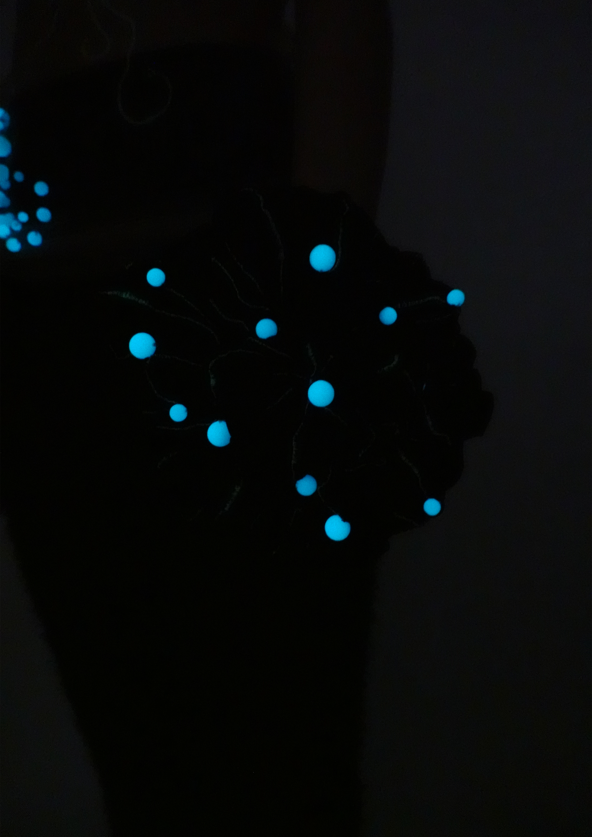 Pleated Ruffle Pouch Bag with Luminous Stone-TRANSE PARIS-APOC STORE