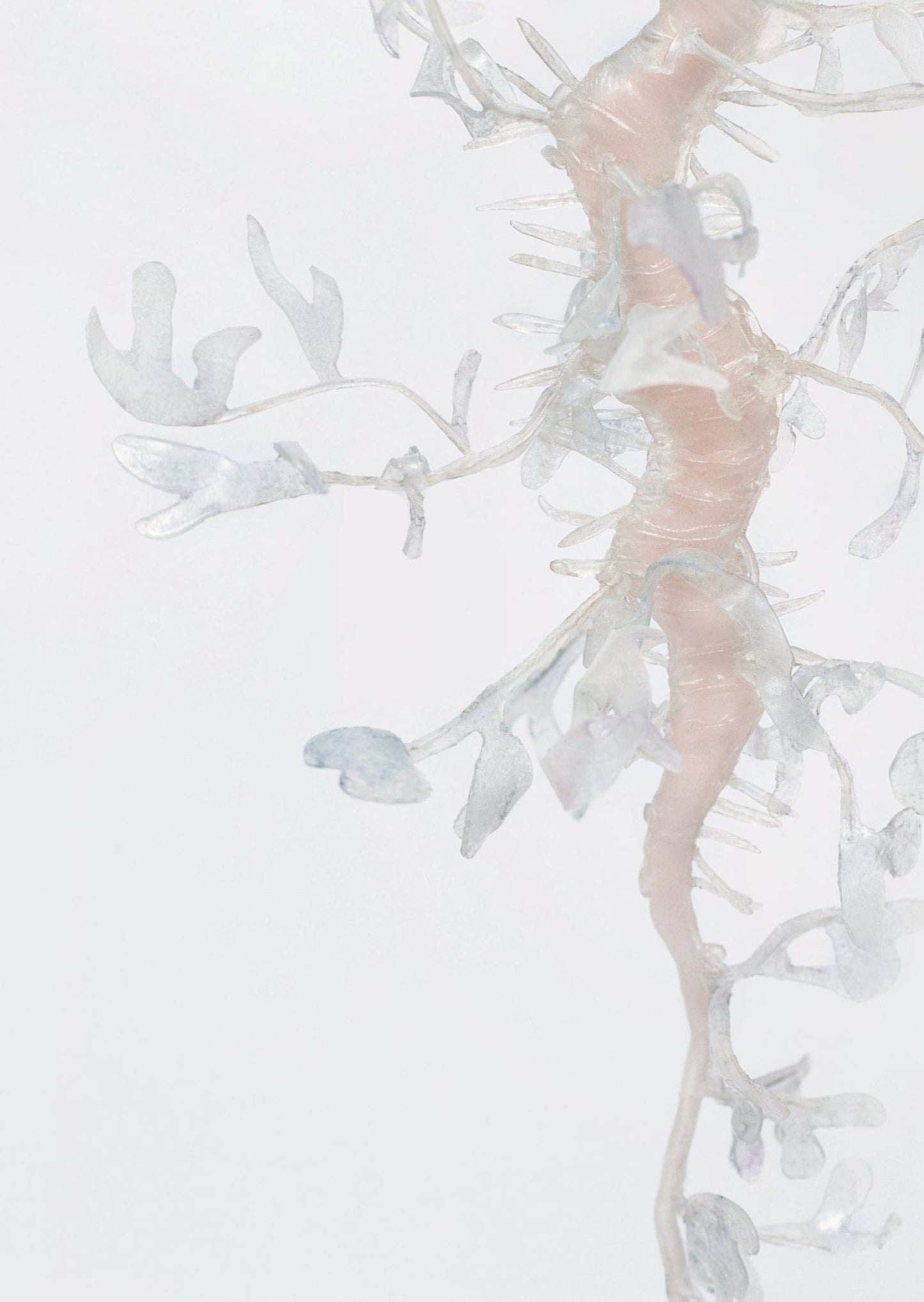 Seadragon Earrings-Baggira-APOC STORE