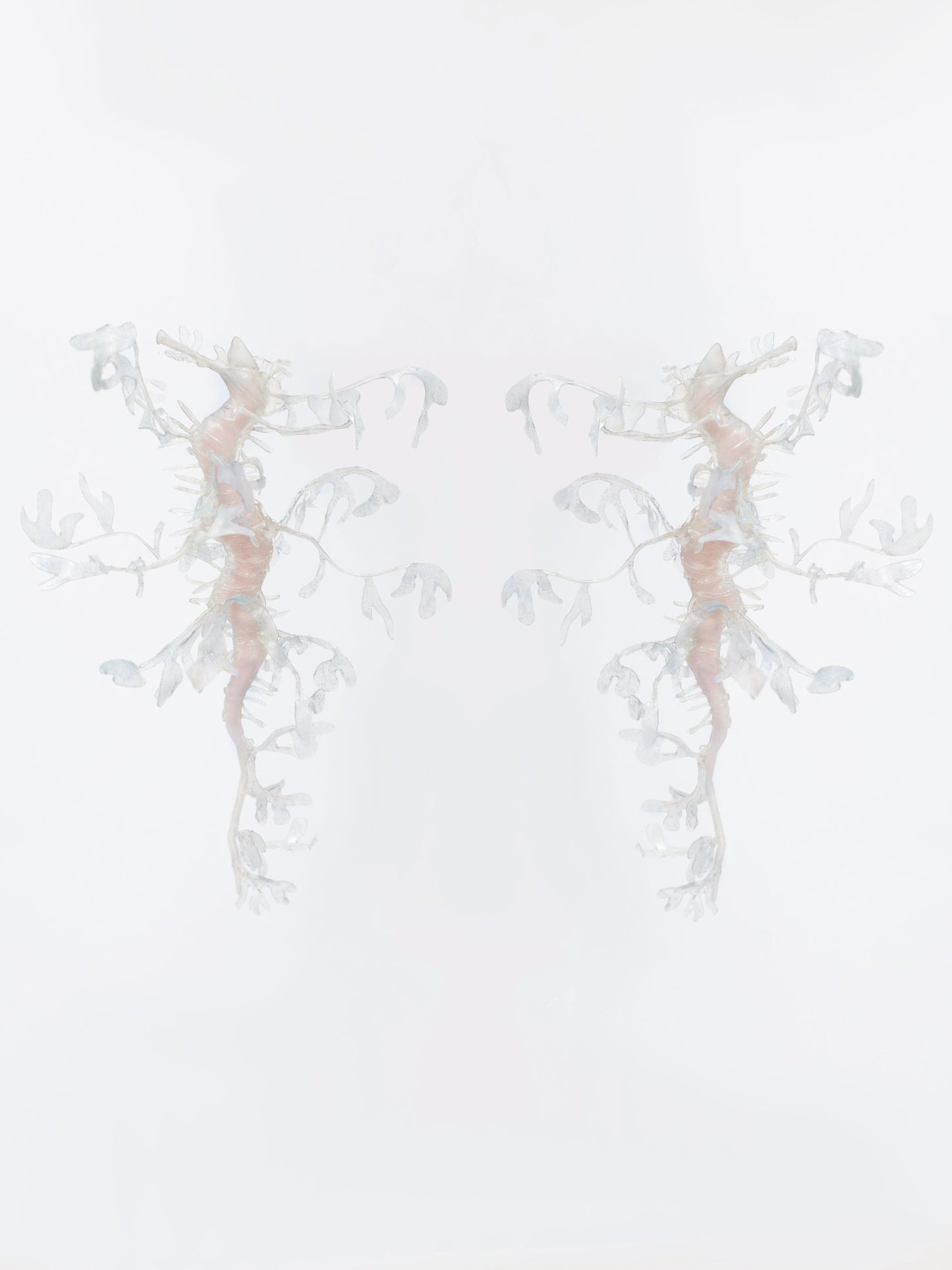 Seadragon Earrings-Baggira-APOC STORE