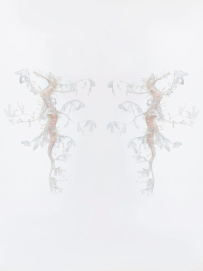 Seadragon Earrings-Baggira-APOC STORE