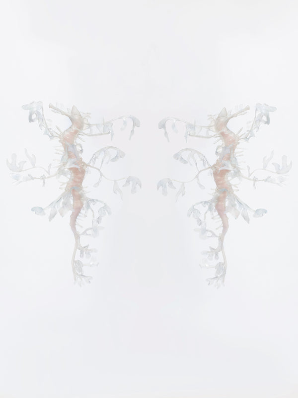 Seadragon Earrings-Baggira-APOC STORE