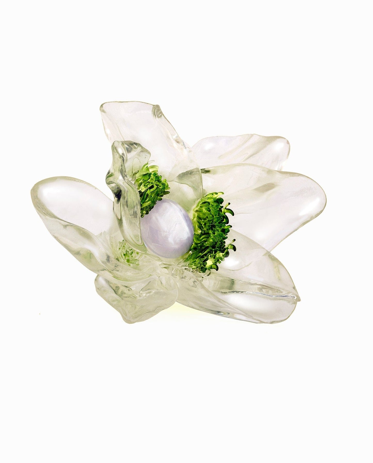 Tempus Transparentus-La Manso-APOC STORE