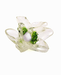 Tempus Transparentus-La Manso-APOC STORE