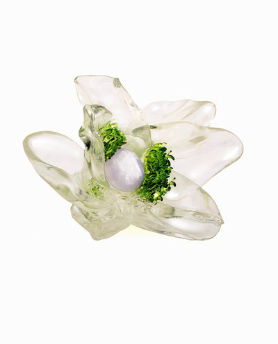 Tempus Transparentus-La Manso-APOC STORE