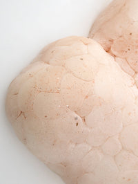 Nude Mammatus Wall Sculpture-Elissa Lacoste-APOC STORE