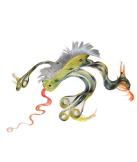 Green Frog Wig-Tomihiro Kono-APOC STORE