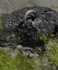 Silver Textured Horn Rings-Jules Bramley-APOC STORE