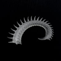 Spine Ear Columns-Agoston Balazs-APOC STORE