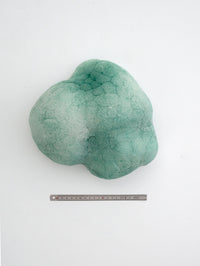 Small Green Mammatus Wall Sculpture-Elissa Lacoste-APOC STORE
